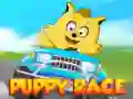 Játék Kiskutya verseny online