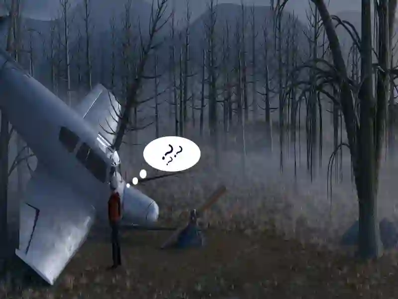 Játék Elveszett az erdőben online