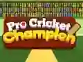 Játék Pro Krikett Bajnok online