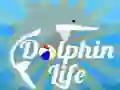 Játék Delfin Élet online