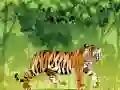 Játék Haragos Tigris Színező online
