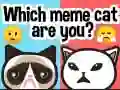Játék Milyen mém macska vagy? online Játék Milyen mém macska vagy? online