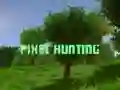 Játék Pixelvadászat online