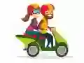 Játék Motorkerékpárok Találd meg a Különbségeket online Játék Motorkerékpárok Találd meg a Különbségeket online