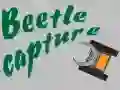Játék Bogárfogás online Játék Bogárfogás online