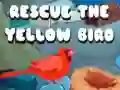 Játék Mentsd meg a Sárga Madarat online