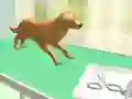 Játék Pataápolás online