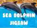 Játék Tengeri Delfin Puzzle online Játék Tengeri Delfin Puzzle online