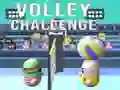 Játék Röplabda Kihívás online