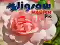 Játék Rejtvény Mestere Pro online Játék Rejtvény Mestere Pro online