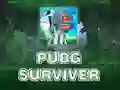 Játék PUBG Túlélő online Játék PUBG Túlélő online