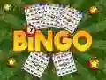 Játék Bingo Felfedezve online Játék Bingo Felfedezve online