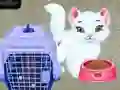 Játék Baby Taylor: Háziállat Gondozás online Játék Baby Taylor: Háziállat Gondozás online