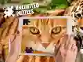 Játék Korlátlan rejtvények online Játék Korlátlan rejtvények online
