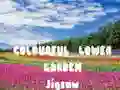 Játék Színes Virágos Kert Puzzle online