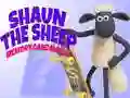 Játék Shaun a bárány: Memóriajáték online