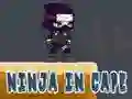 Játék Ninja Köpenyben online