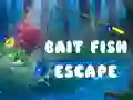 Játék Csalihal elmenekülés online
