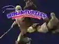 Játék Ninja Teknősök Memória Kártya Párba online