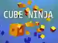 Játék Kocka Ninja online Játék Kocka Ninja online
