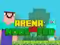Játék Arena: Noob vs Pro online