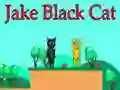 Játék Jake Fekete Macska online Játék Jake Fekete Macska online