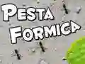 Játék Hangya Ünnep online Játék Hangya Ünnep online