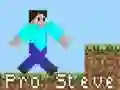Játék Pro Steve online Játék Pro Steve online