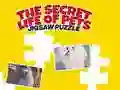 Játék A Kedvencek Titkos Élete: Puzzle online Játék A Kedvencek Titkos Élete: Puzzle online