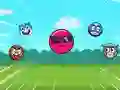 Játék Görgős Labda X: Pattanó Labda online
