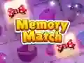 Játék Memória játék online