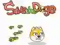 Játék Mentsd Meg a Doge-t online Játék Mentsd Meg a Doge-t online