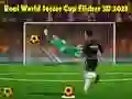 Játék Valódi Világbajnokság Foci Flicker 3D 2023 online