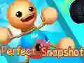 Játék Tökéletes Pillanatkép online