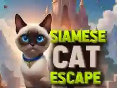 Játék Sziámi macska menekülése online