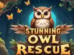 Játék Lenyűgöző baglyok mentése online