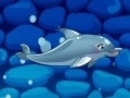 Játék Az én delfinműsorom 5 online