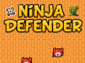Játék Nindzsa Védelmező online
