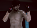 Játék MFS: MMA Harcos online