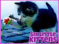 Játék Hat kiscica online