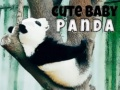 Játék Aranyos kis panda online