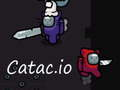 Játék Catac.io online