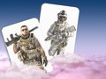 Játék ARMA Memória Kártya Párba online