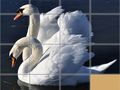 Játék Állatok Csúsztatós Puzzle online