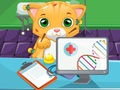 Játék Macska Doktor online