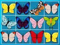 Játék A Mahjong Királya online