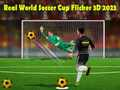 Játék Valódi Világbajnokság Foci Flicker 3D 2023 online