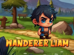 Játék Vándor Liam online