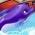 Delfin  online